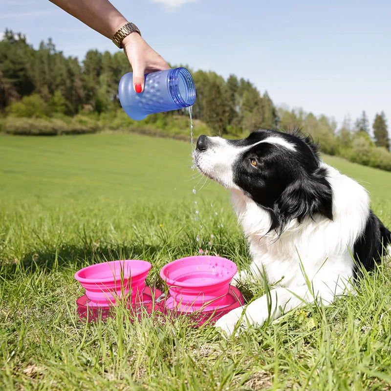 Set Da Pranzo Per Cani Da Viaggio Pawfun