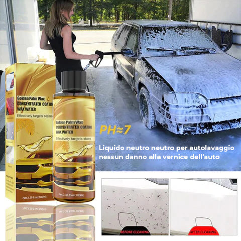 Cera per autolavaggio Golden Carnauba